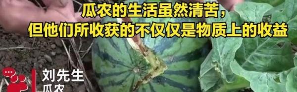 2女子拿麻袋到瓜地疯狂偷瓜，瓜农：吃一两个没事，拿麻袋太过分