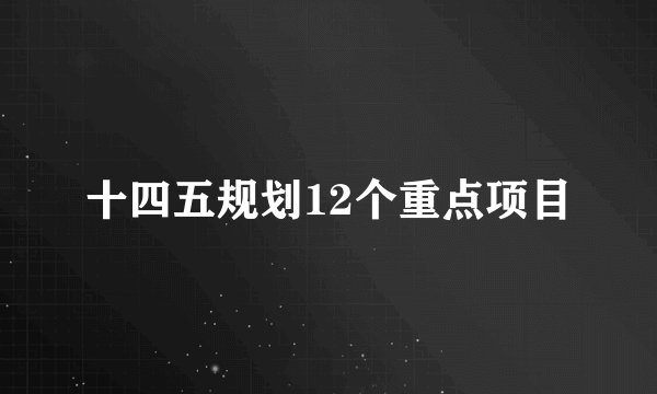 十四五规划12个重点项目