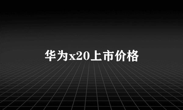 华为x20上市价格