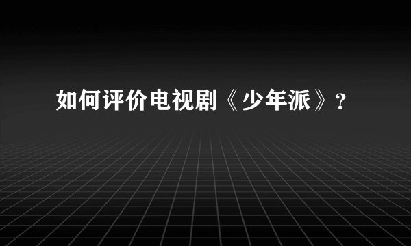 如何评价电视剧《少年派》？