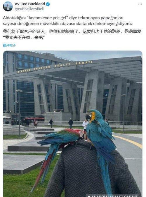 鹦鹉喊老公不在家 男子察觉妻子出轨