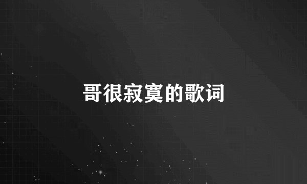 哥很寂寞的歌词