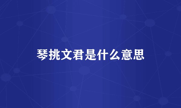 琴挑文君是什么意思
