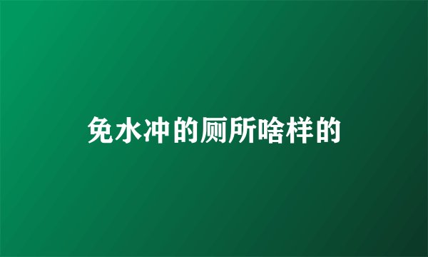 免水冲的厕所啥样的
