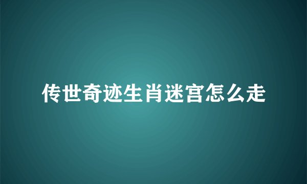 传世奇迹生肖迷宫怎么走