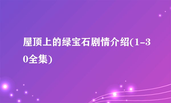 屋顶上的绿宝石剧情介绍(1-30全集)