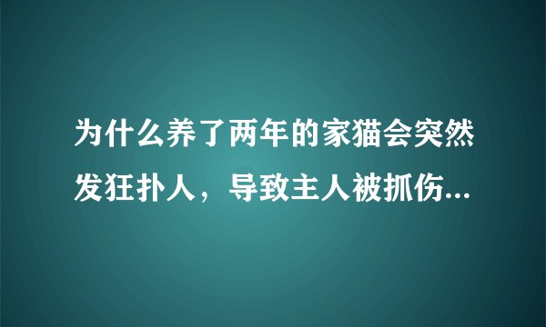 为什么养了两年的家猫会突然发狂扑人，导致主人被抓伤20多处？
