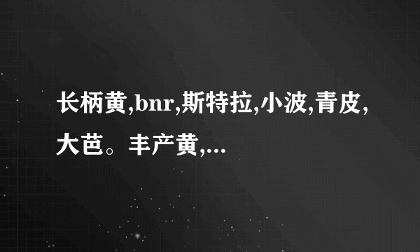 长柄黄,bnr,斯特拉,小波,青皮,大芭。丰产黄,金傲芬,哪个最耐旱耐寒