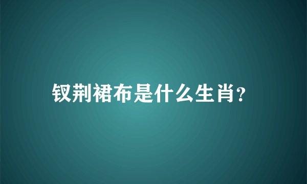 钗荆裙布是什么生肖？