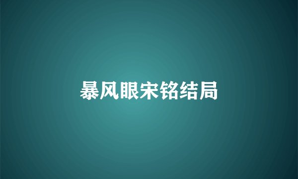 暴风眼宋铭结局