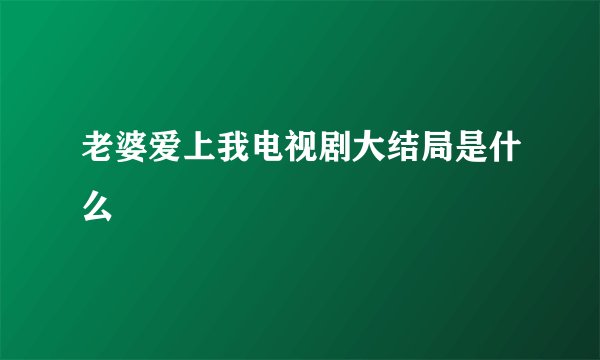 老婆爱上我电视剧大结局是什么