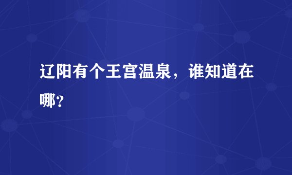 辽阳有个王宫温泉，谁知道在哪？