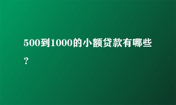 500到1000的小额贷款有哪些？