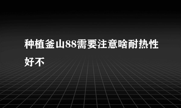 种植釜山88需要注意啥耐热性好不