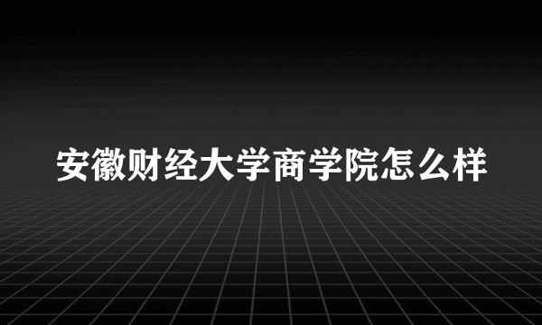 安徽财经大学商学院怎么样