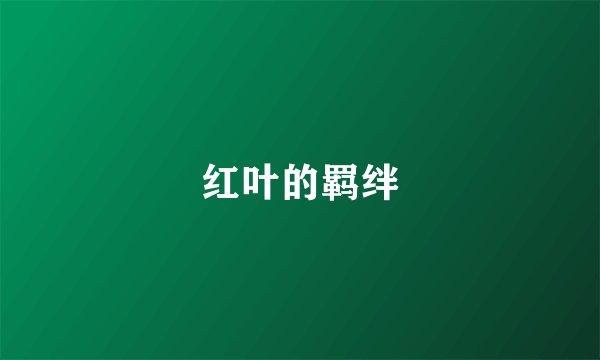 红叶的羁绊