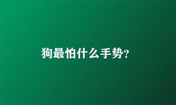 狗最怕什么手势？