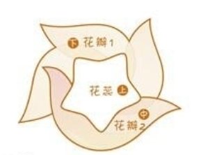如何制作“抗战胜利花”?