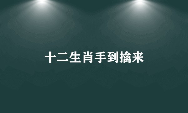 十二生肖手到擒来