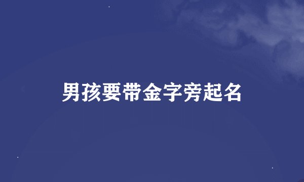 男孩要带金字旁起名
