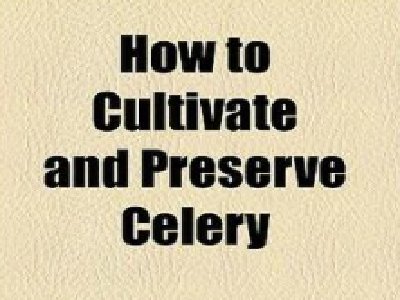 cultivate的用法搭配