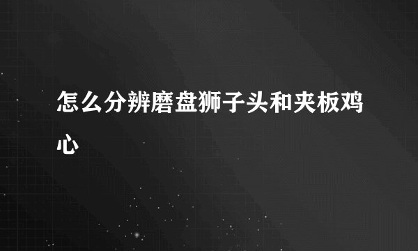 怎么分辨磨盘狮子头和夹板鸡心