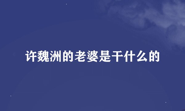 许魏洲的老婆是干什么的