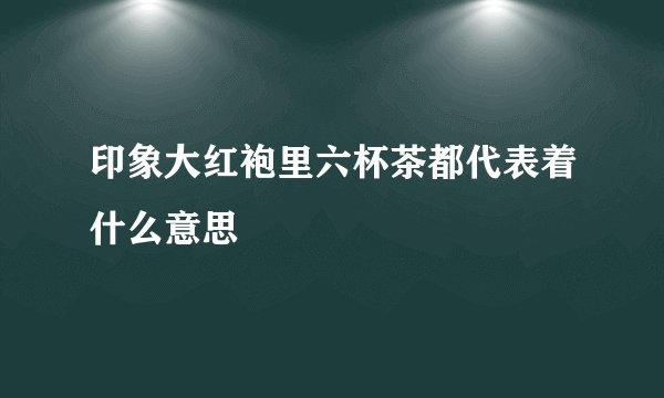 印象大红袍里六杯茶都代表着什么意思