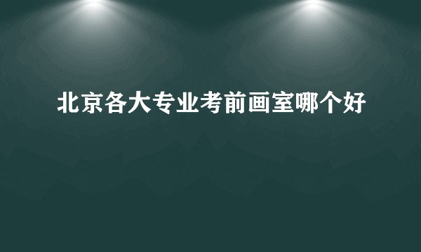 北京各大专业考前画室哪个好
