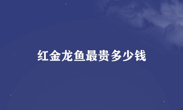 红金龙鱼最贵多少钱
