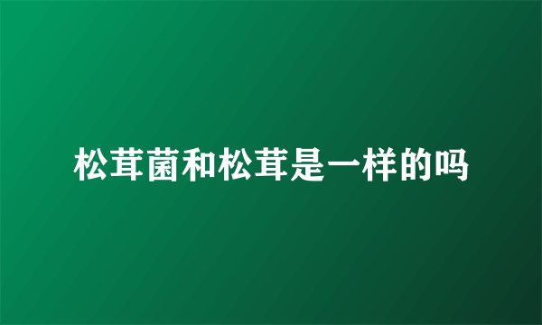松茸菌和松茸是一样的吗