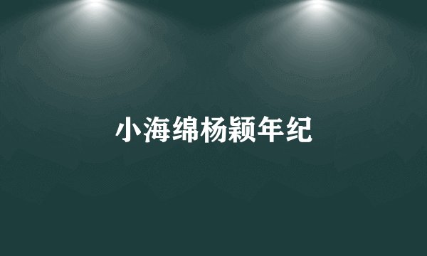 小海绵杨颖年纪