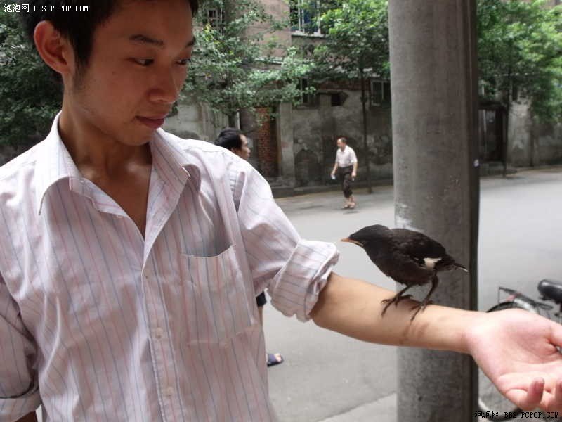 有些女人不能碰的歌手简介