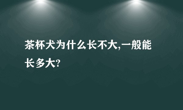 茶杯犬为什么长不大,一般能长多大?