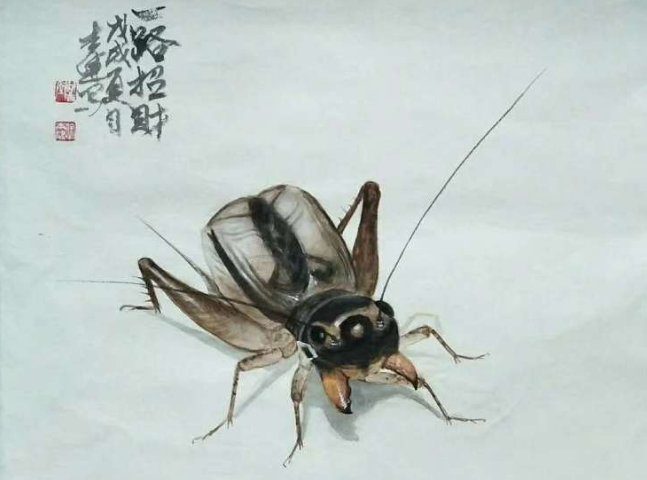 蟋组词100个有哪些？？
