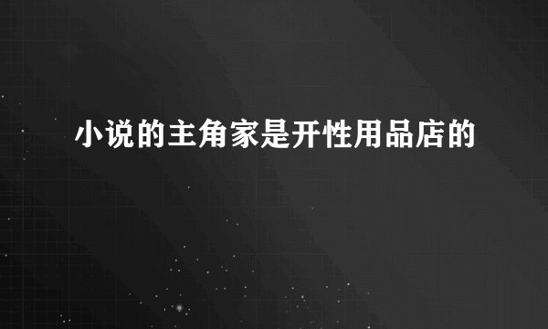 小说的主角家是开性用品店的