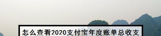 怎么查看2020支付宝年度账单总收支