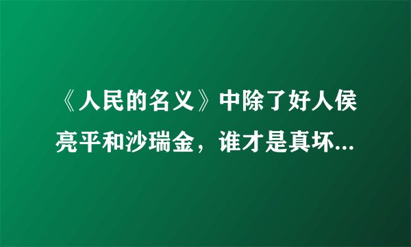 《人民的名义》中除了好人侯亮平和沙瑞金，谁才是真坏人和假好人