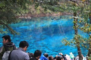 九寨沟国庆“爆冷”,5A级景点为何会“过气”?