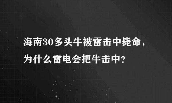 海南30多头牛被雷击中毙命，为什么雷电会把牛击中？