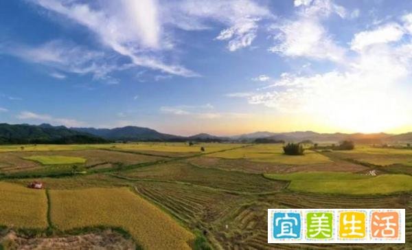 老话说:“九月怕二十”,今日九月二十,到底怕啥?听老人咋说