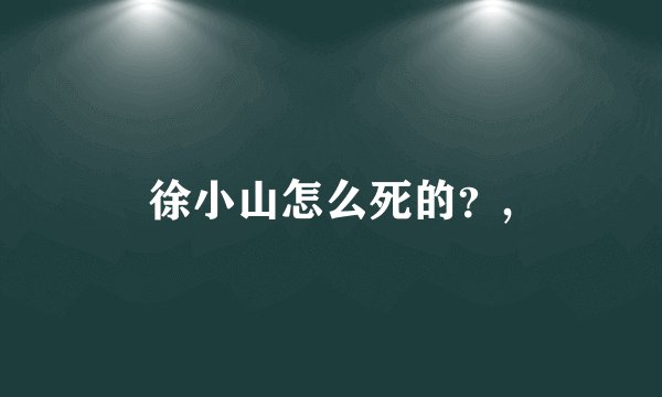 徐小山怎么死的？,