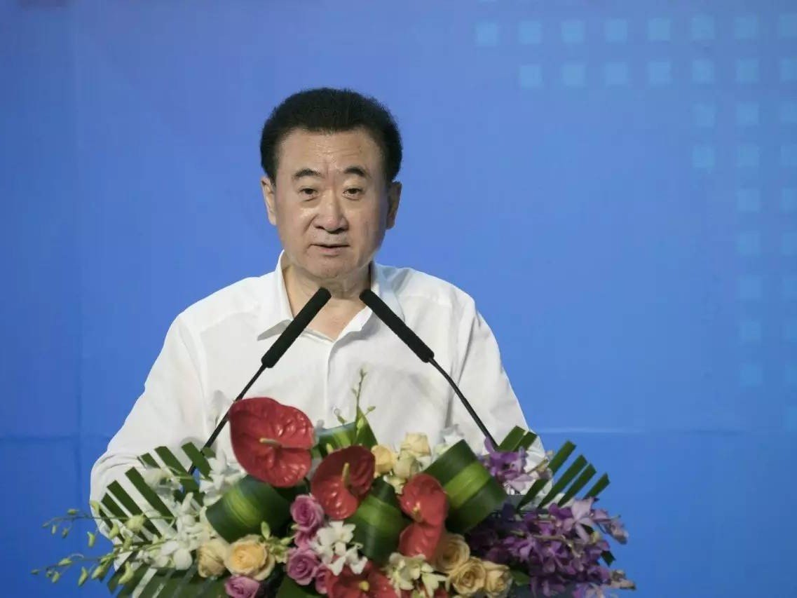 王健林的个人家世简介