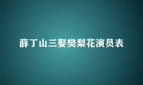 薛丁山三娶樊梨花演员表