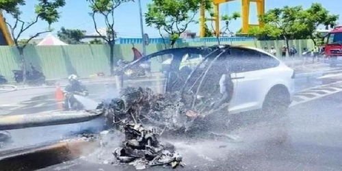 林志颖车祸撞坏交通信号杆，当地交通部门对其索赔2万元是否合理？