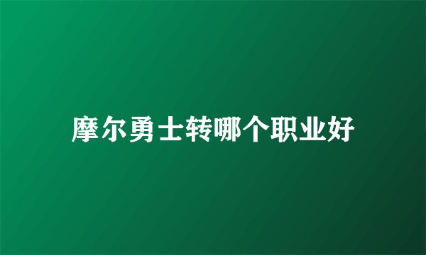 摩尔勇士转哪个职业好
