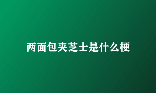 两面包夹芝士是什么梗