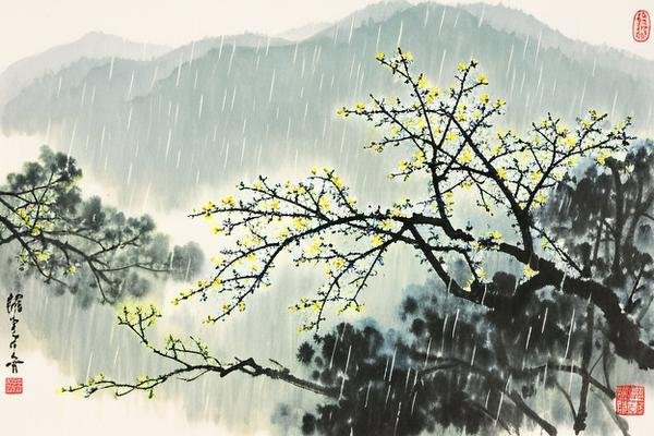 立春有雨好还是无雨好