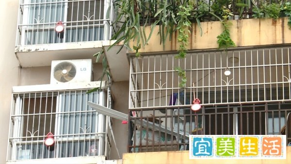 广东男子买22面镜子挂阳台反击邻居 网友:用魔法打败魔法