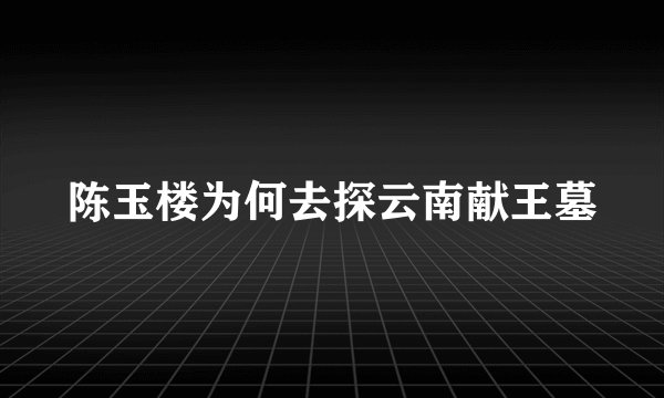 陈玉楼为何去探云南献王墓